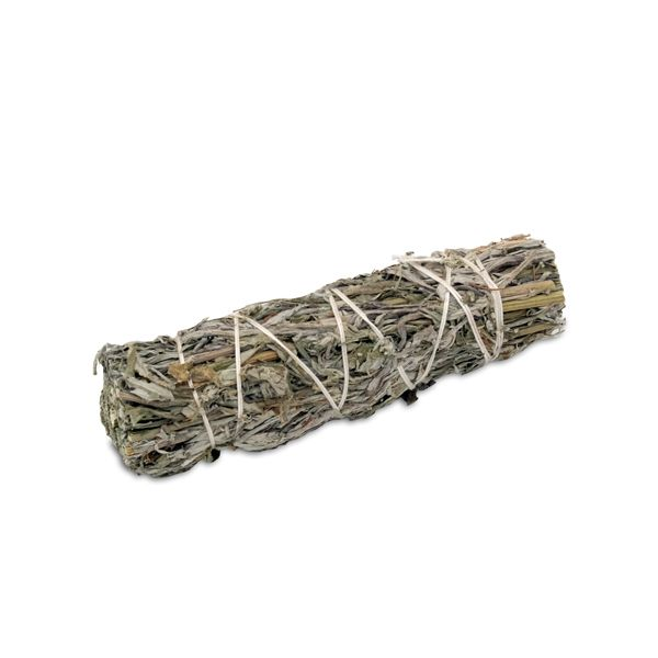 Smudge artemisia (Artemisia volgare)